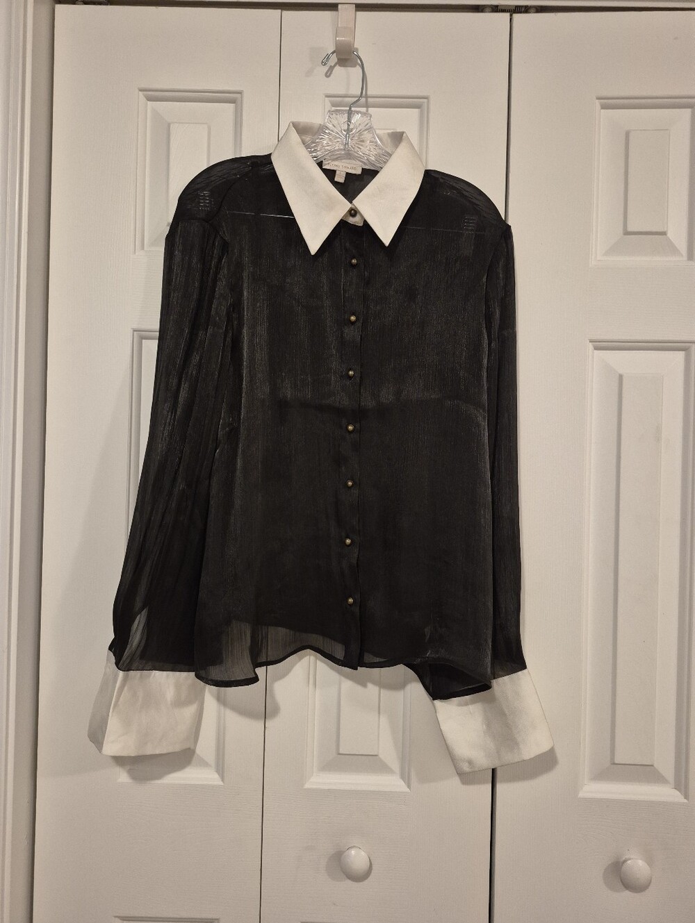 Flying Tomato Black Sheer Button-Down Blouse with White Collar & Cuffs